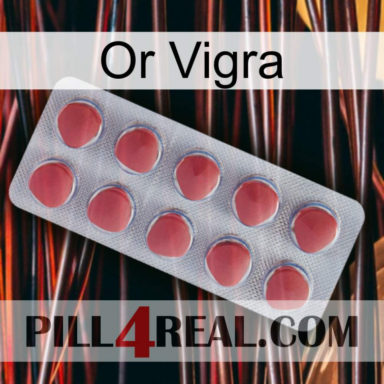 Gold Vigra 18